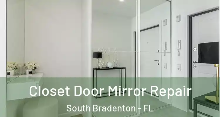  Closet Door Mirror Repair South Bradenton - FL