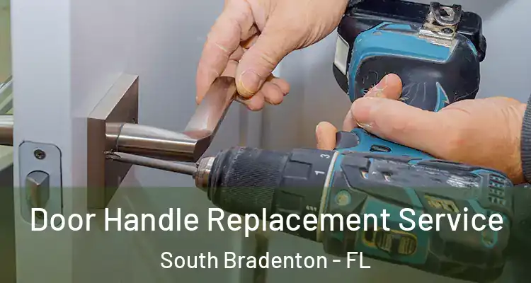  Door Handle Replacement Service South Bradenton - FL