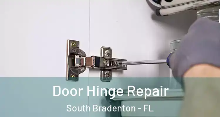  Door Hinge Repair South Bradenton - FL