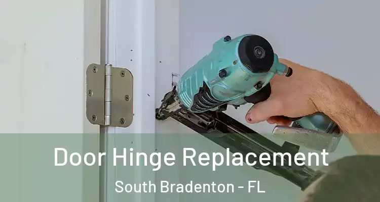  Door Hinge Replacement South Bradenton - FL
