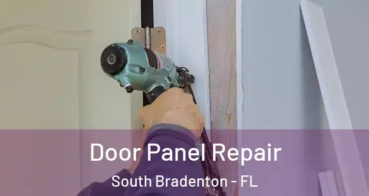  Door Panel Repair South Bradenton - FL