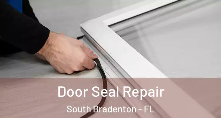  Door Seal Repair South Bradenton - FL