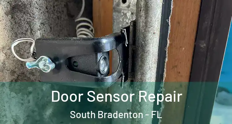  Door Sensor Repair South Bradenton - FL