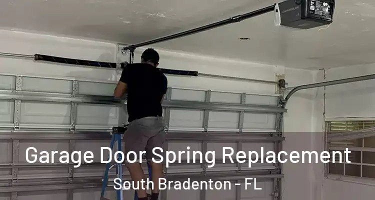  Garage Door Spring Replacement South Bradenton - FL