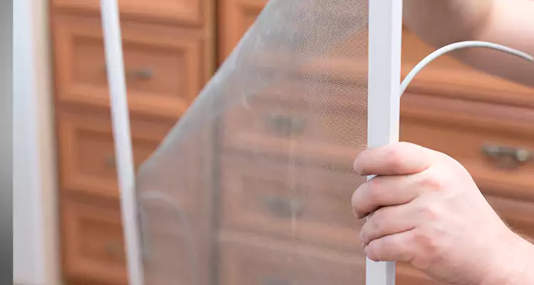 Privacy Mesh Screen Door Installation in South Bradenton, FL