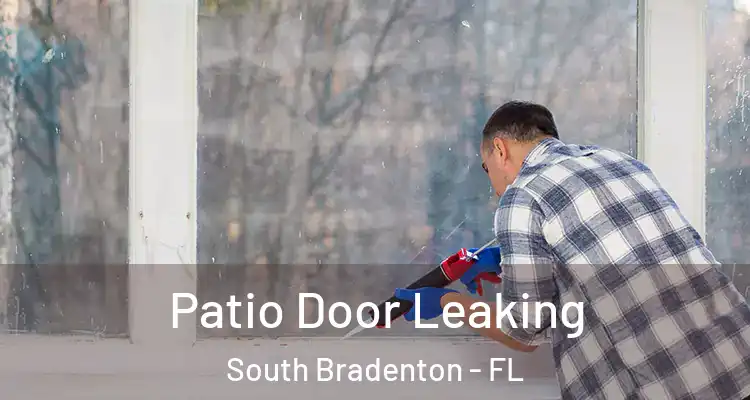  Patio Door Leaking South Bradenton - FL