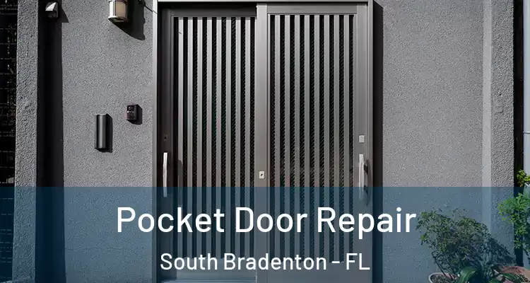 Pocket Door Repair South Bradenton - FL