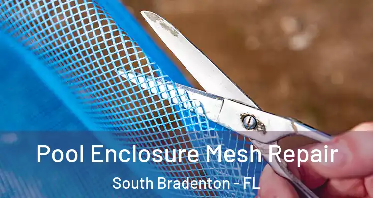  Pool Enclosure Mesh Repair South Bradenton - FL