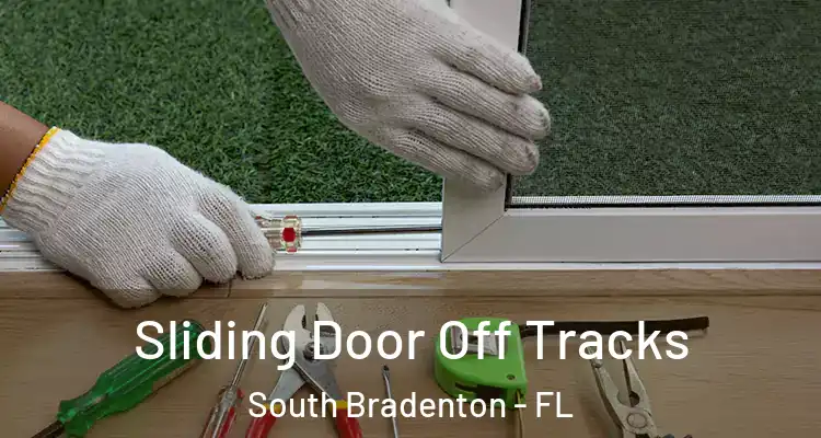  Sliding Door Off Tracks South Bradenton - FL