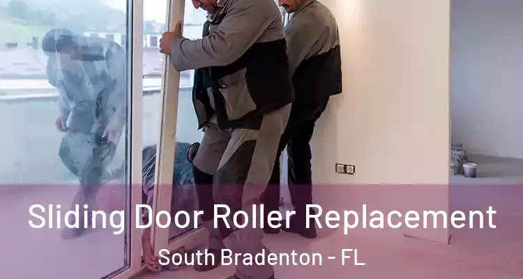  Sliding Door Roller Replacement South Bradenton - FL