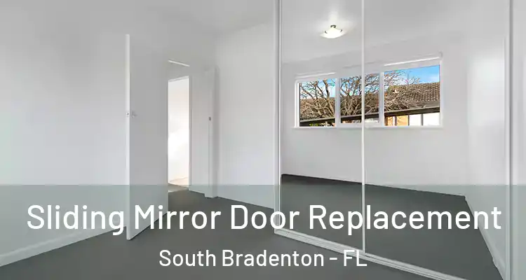  Sliding Mirror Door Replacement South Bradenton - FL