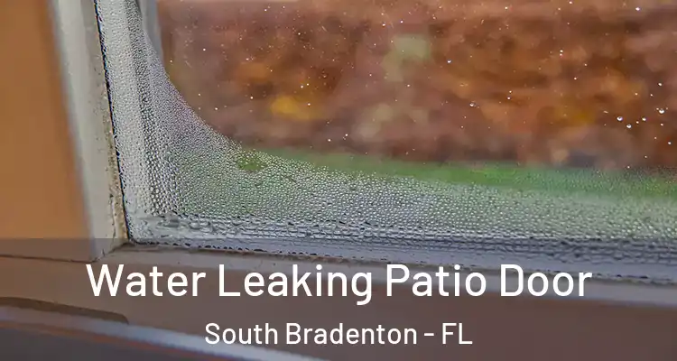  Water Leaking Patio Door South Bradenton - FL