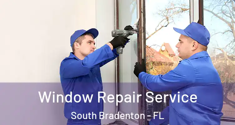  Window Repair Service South Bradenton - FL